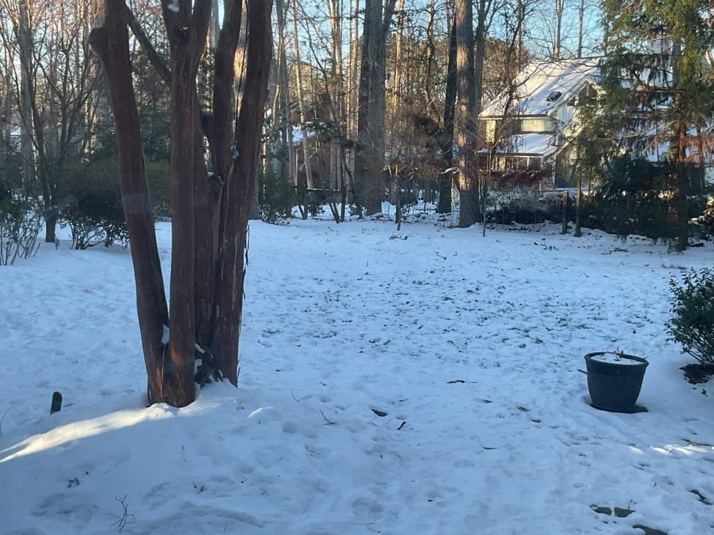 Snow In North Carolina